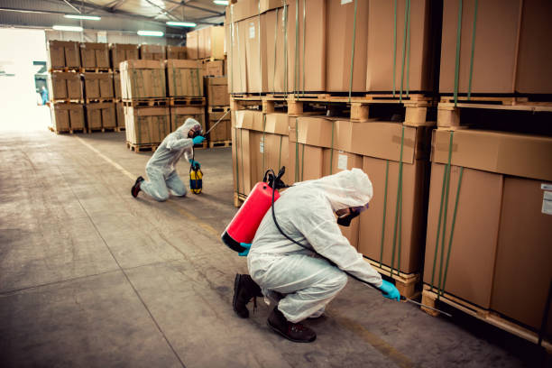Best Pest Inspection Near Me  in Salida, CA