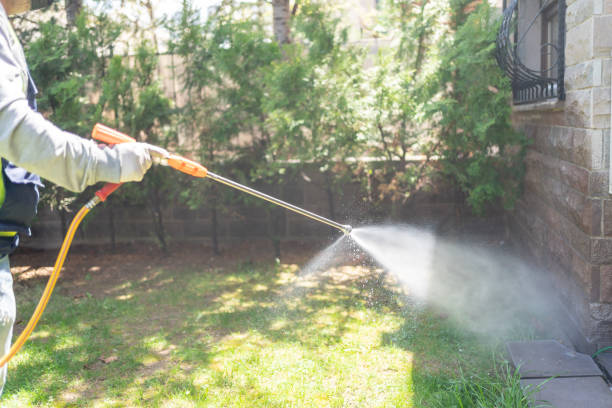 Best Best Pest Control Companies  in Salida, CA