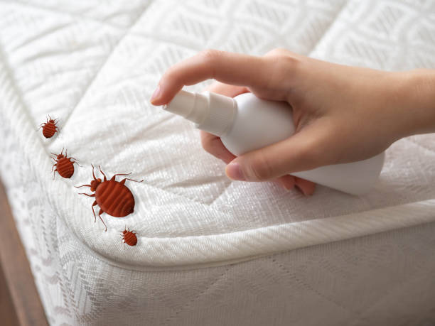 Best Best Pest Control Companies  in Salida, CA