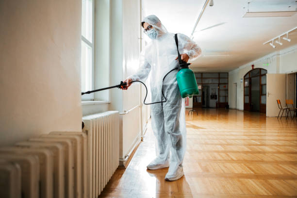 Best Flea Control Services  in Salida, CA