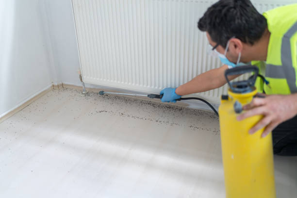 Best Affordable Pest Control Services  in Salida, CA