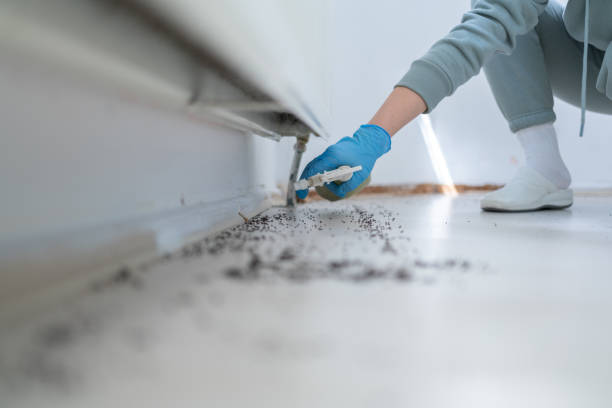 Best Bed Bug Extermination  in Salida, CA